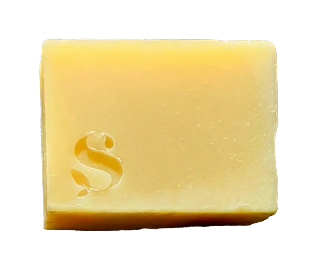 Savon Solide Olive 100g