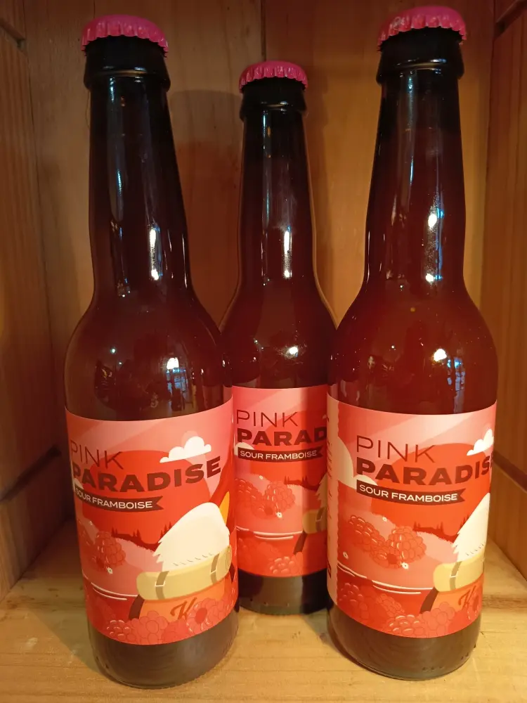 Bière framboise Pink Paradise KOOKA 33cl