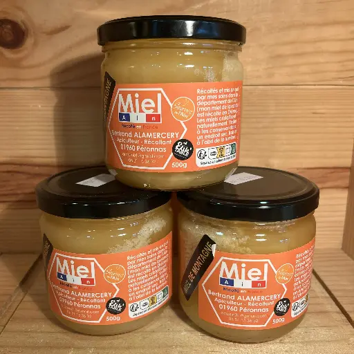Miel de montagne 500gr
