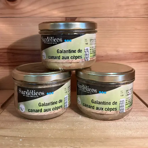 [108] Galantine de canard aux cèpes 180gr
