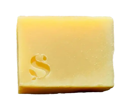 Savon Solide Olive 100g